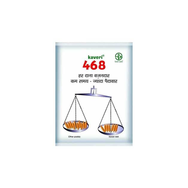 Paddy-Kaveri-468