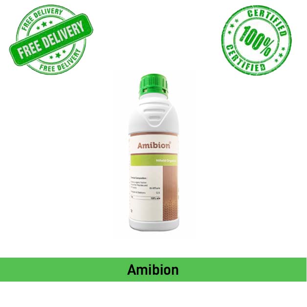 Amibion