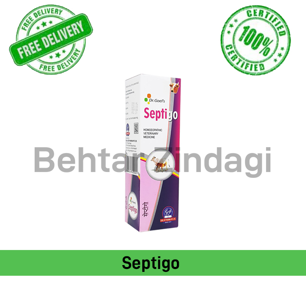 Septigo