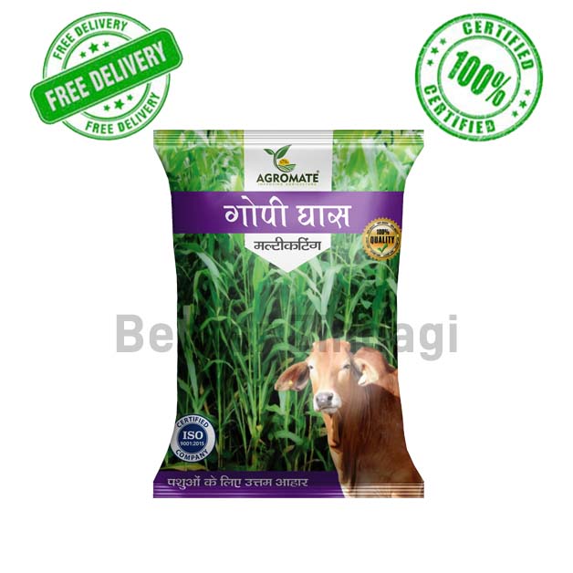 Jowar-Gopi-Grass-Multicut-(Multi-year)-Agromate-Pack-of-2