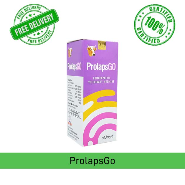Prolapsgo