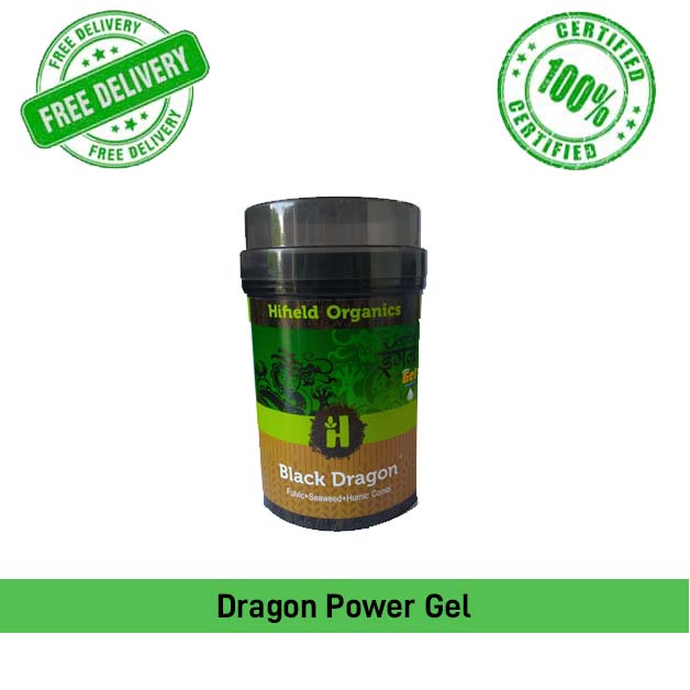 Dragon-Power-Gel