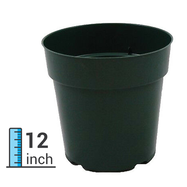 Feet-Pots-(12-Inch)