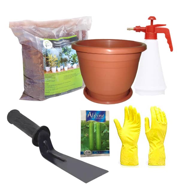 Gardening-Kit-(Plastic-Pot,-Hand-Spray,-Potting-Mix,-Gloves,-Seed,-Khurpi)